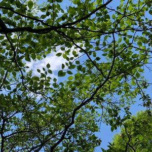 Meet your Posher, Ava